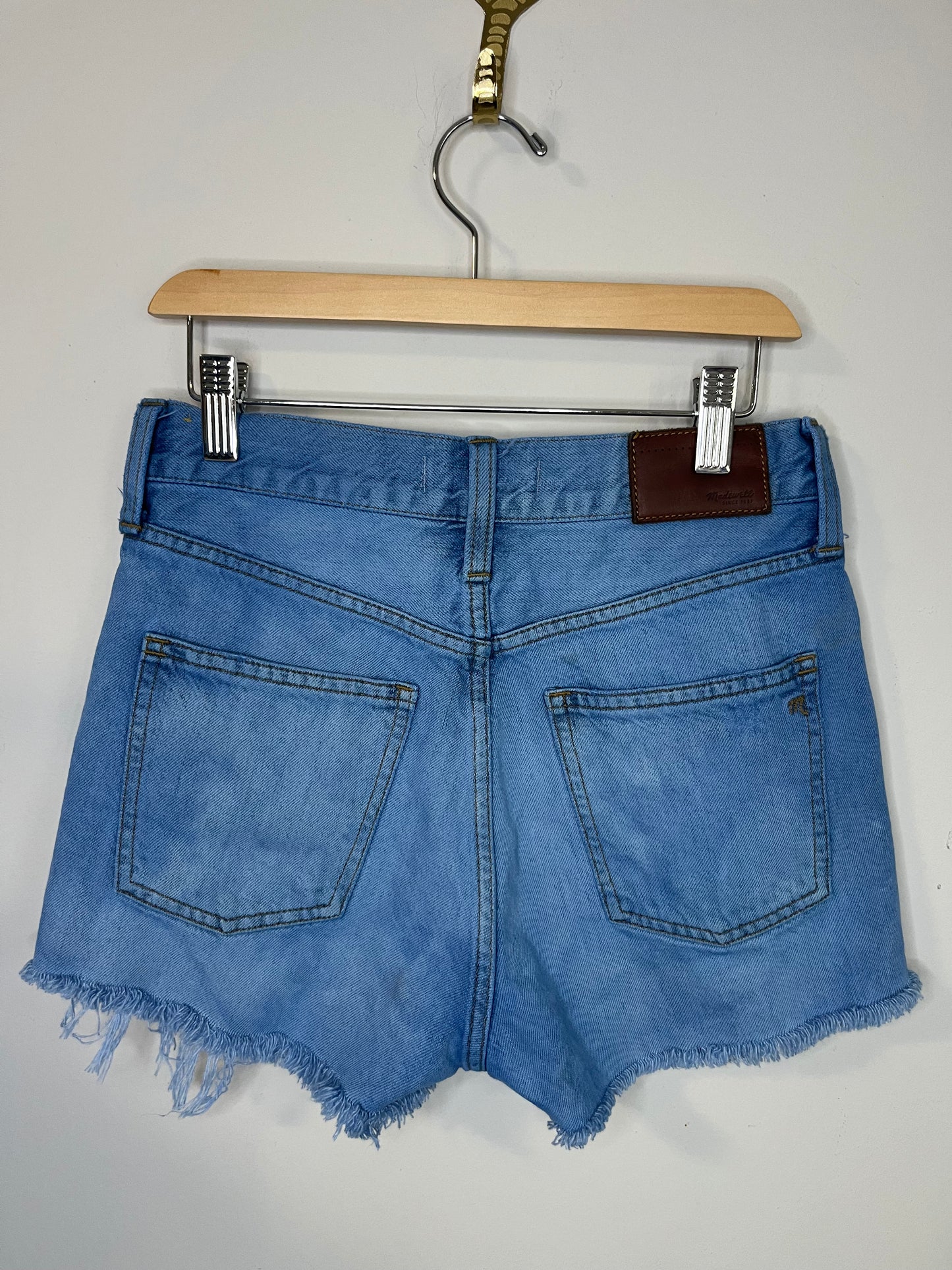 Blue Dyed Madewell Shorts | W: 25