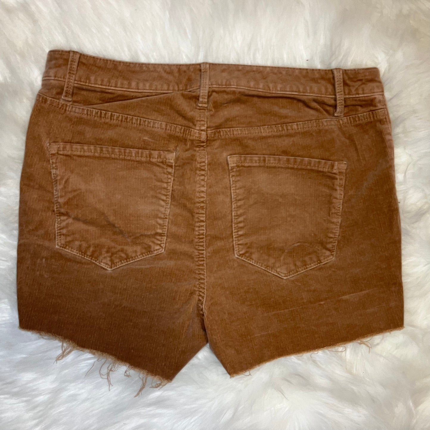 Tan Corduroy Shorts w/ Matching Scrunchie | W: 32